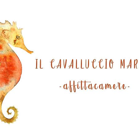 מנרולה Il Cavalluccio Marino מראה חיצוני תמונה
