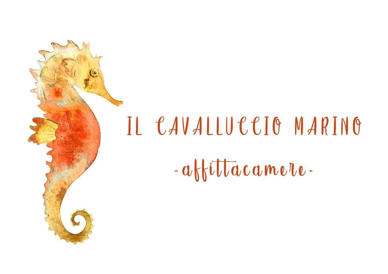 מנרולה Il Cavalluccio Marino מראה חיצוני תמונה